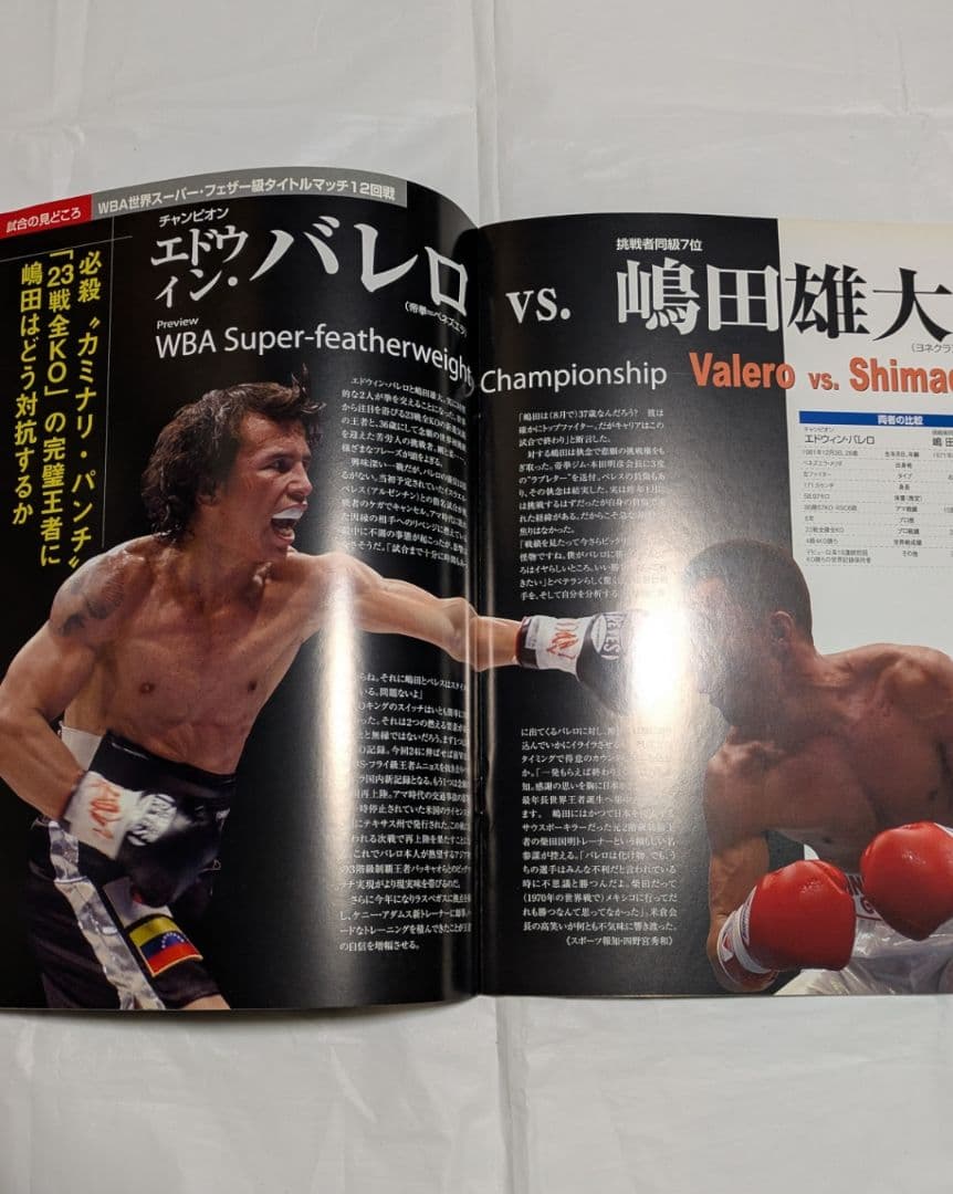ボクシング パンフレット 長谷川穂積×ファッシオ他 Boxing Program
