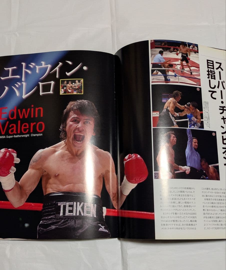 ボクシング パンフレット 長谷川穂積×ファッシオ他 Boxing Program