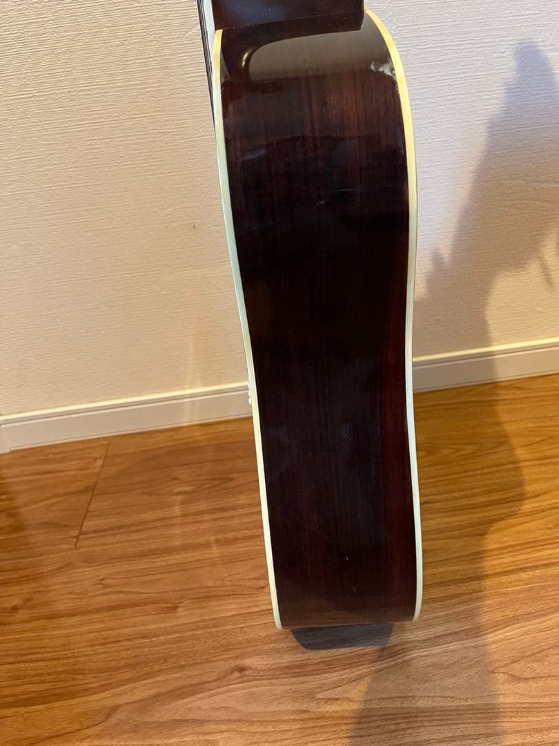 Cat's Eyes CE-200 アコースティックギター　ケース付き