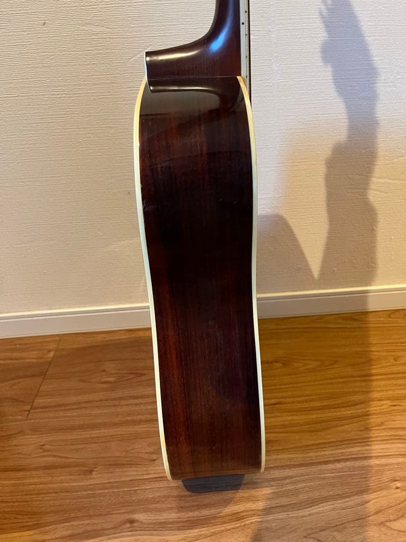 Cat's Eyes CE-200 アコースティックギター　ケース付き