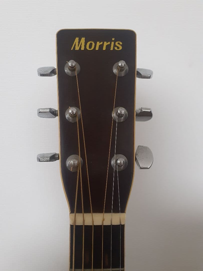 Morris M-25 アコースティックギター