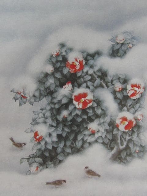 佐藤太清、【雪つばき】、希少な額装用画集より、新品額装付、状態良好