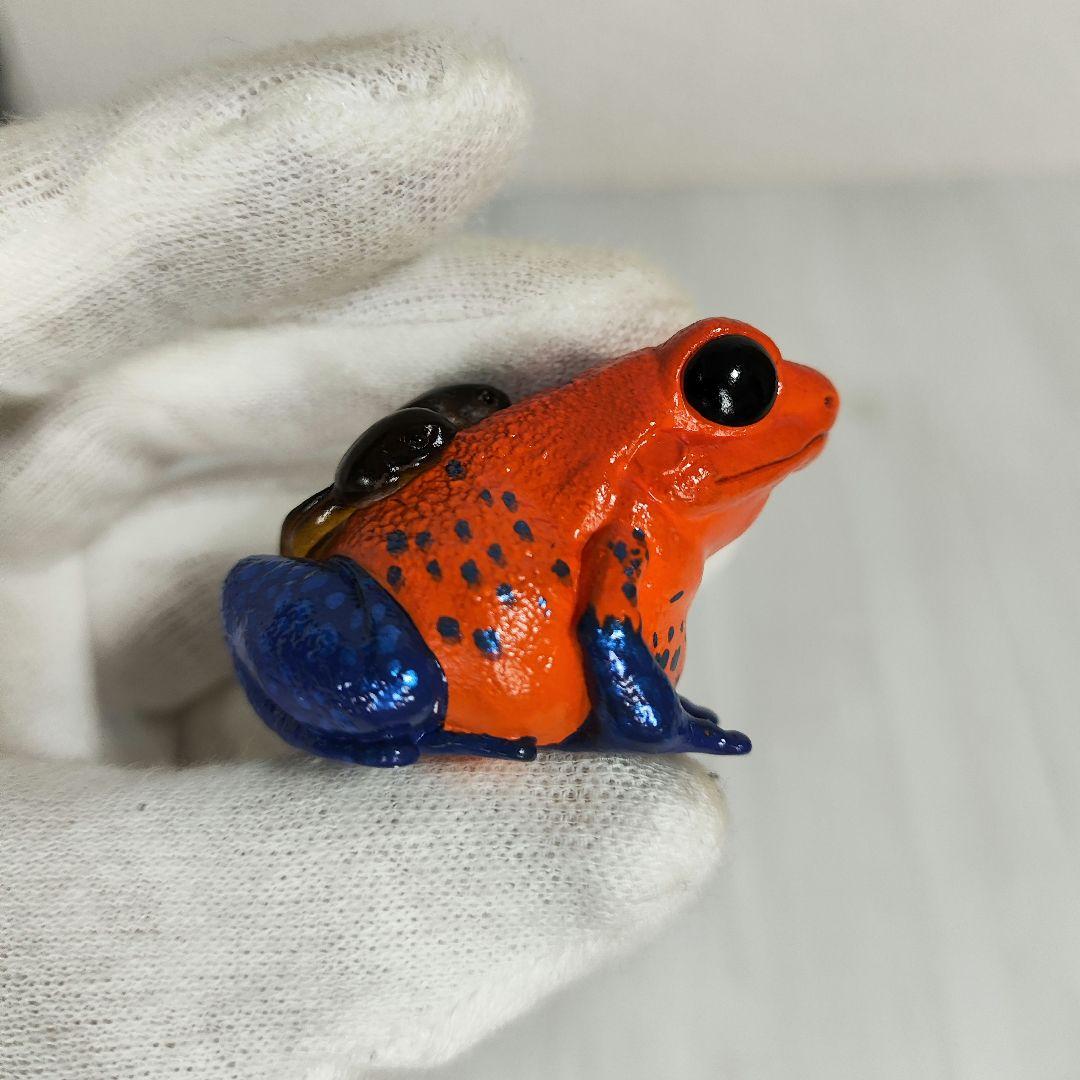 【動物の惑星】レア★ヤドクガエル!23年新春限定品★廃盤品&限定品!!フィギュア