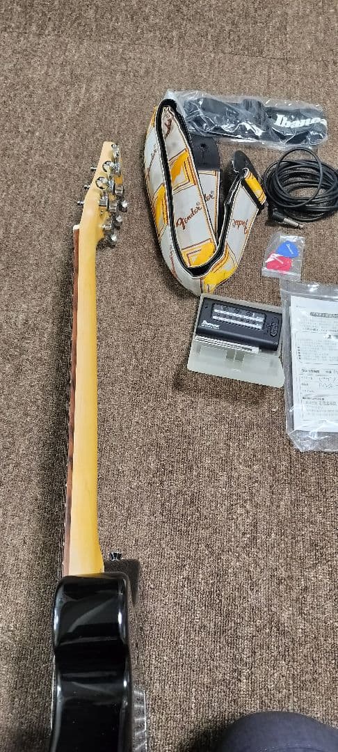 ラ*ン様 だ*ー様 Pignose ピグノーズ PGG-200 アンプ内蔵エレキ