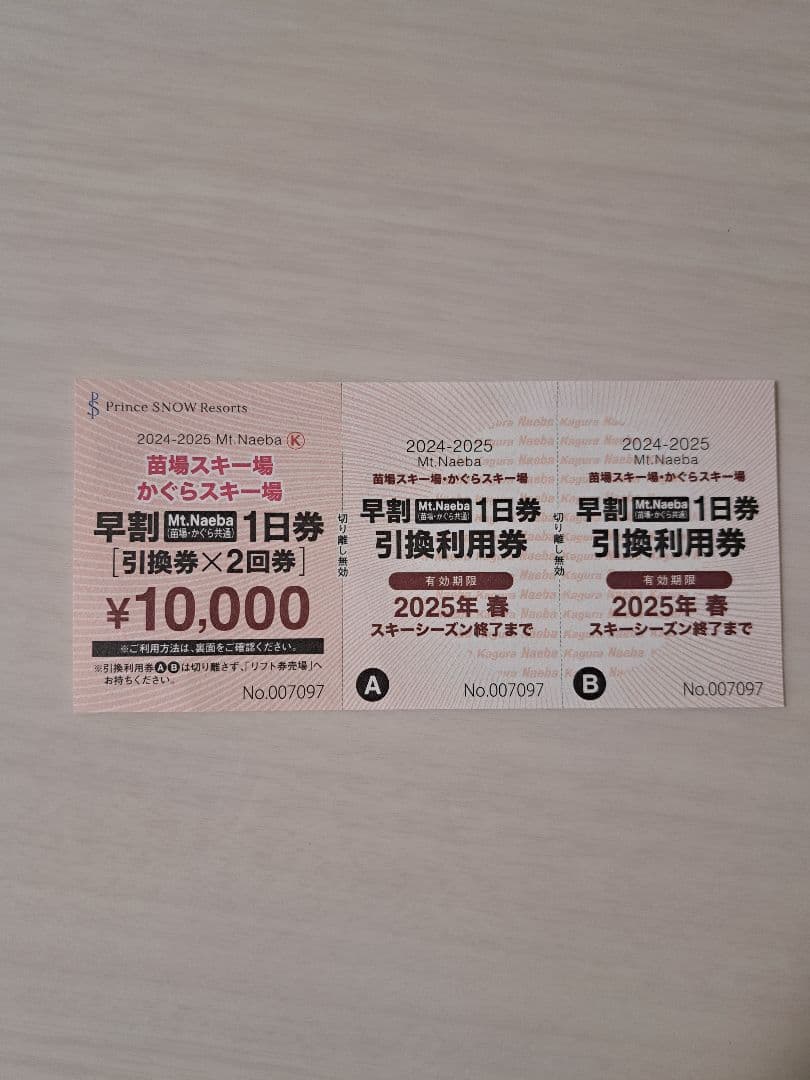 苗場・かぐらスキー場 早割り引換券×2 2024-2025シーズン