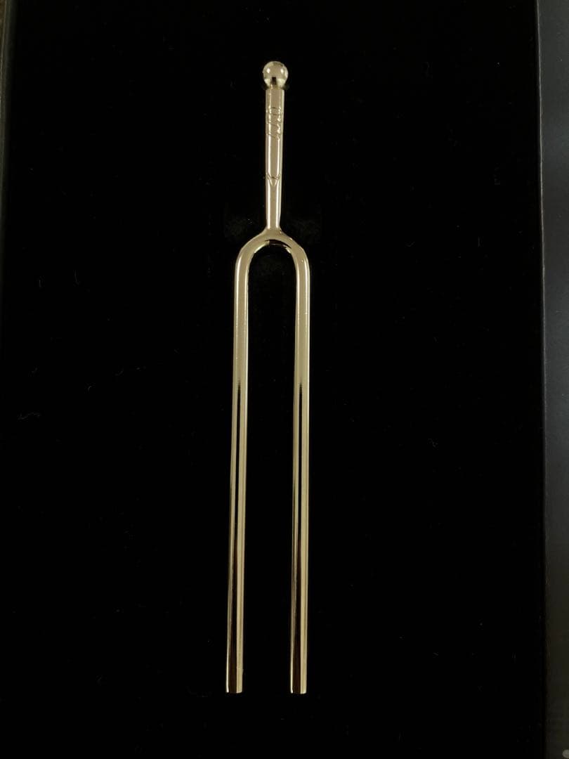 モンブラ　ヨハネス・ブラームス ドネーションペン 激レア 未使用