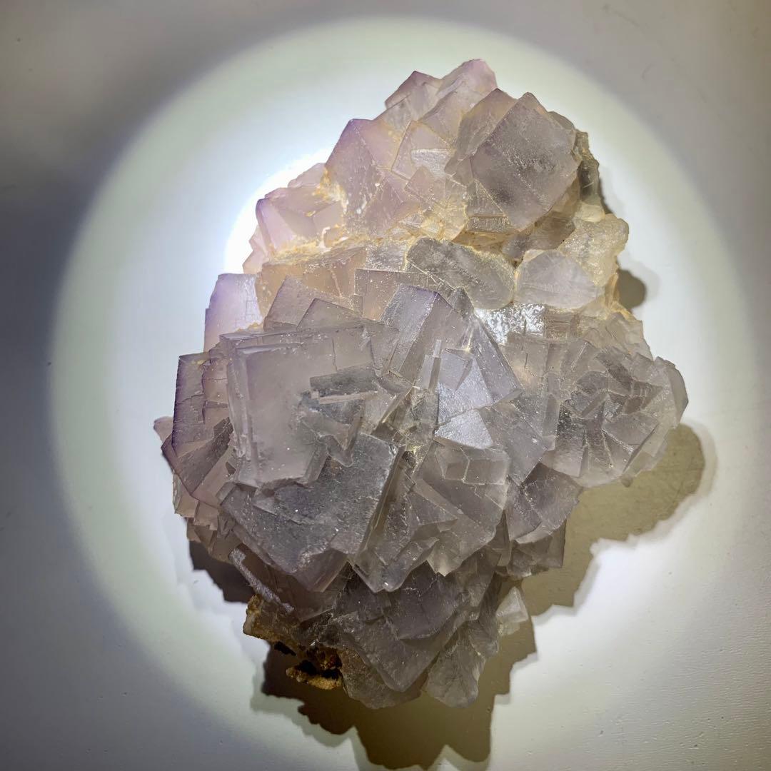 新着！スーパーキュートなフローライト原石V/鉱物標本