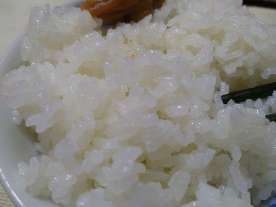 特別栽培米ひとめぼれ９kg　米粒成長期の農薬不使用、化学肥料半減