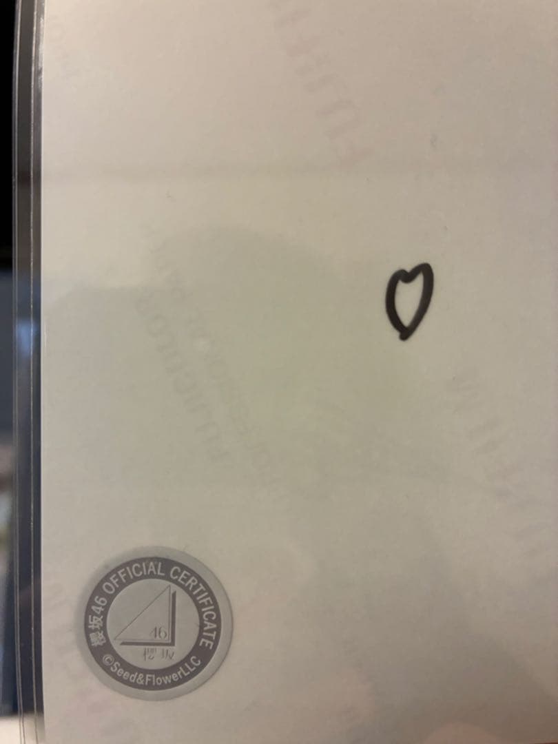 向井純葉 直筆サイン入り サンタ衣装2025 ヨリ