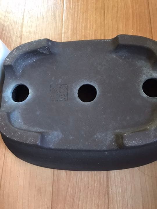 盆栽鉢　時代盆栽鉢銭号撫角山野草寄せ植え植木鉢サボテン多肉植物