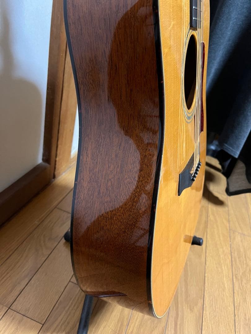 アコギ テイラー510