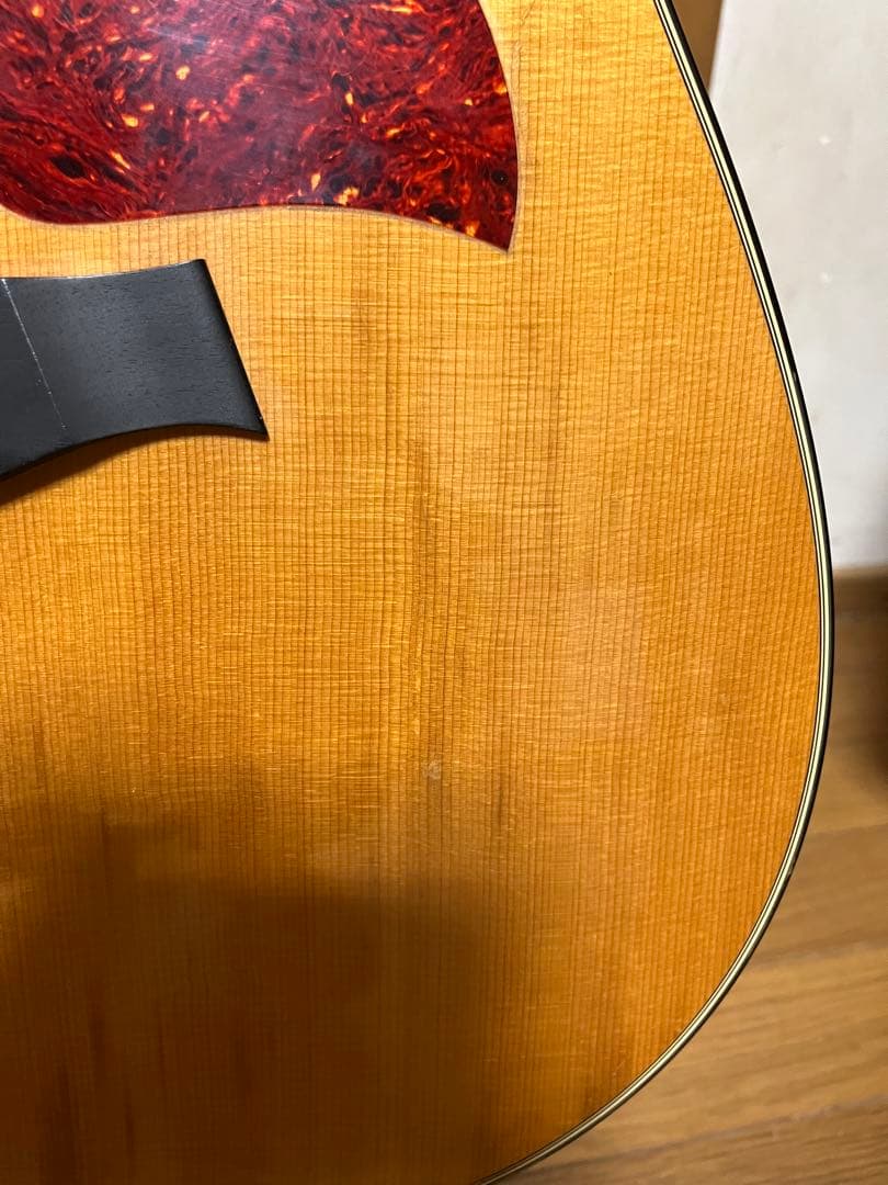 アコギ テイラー510