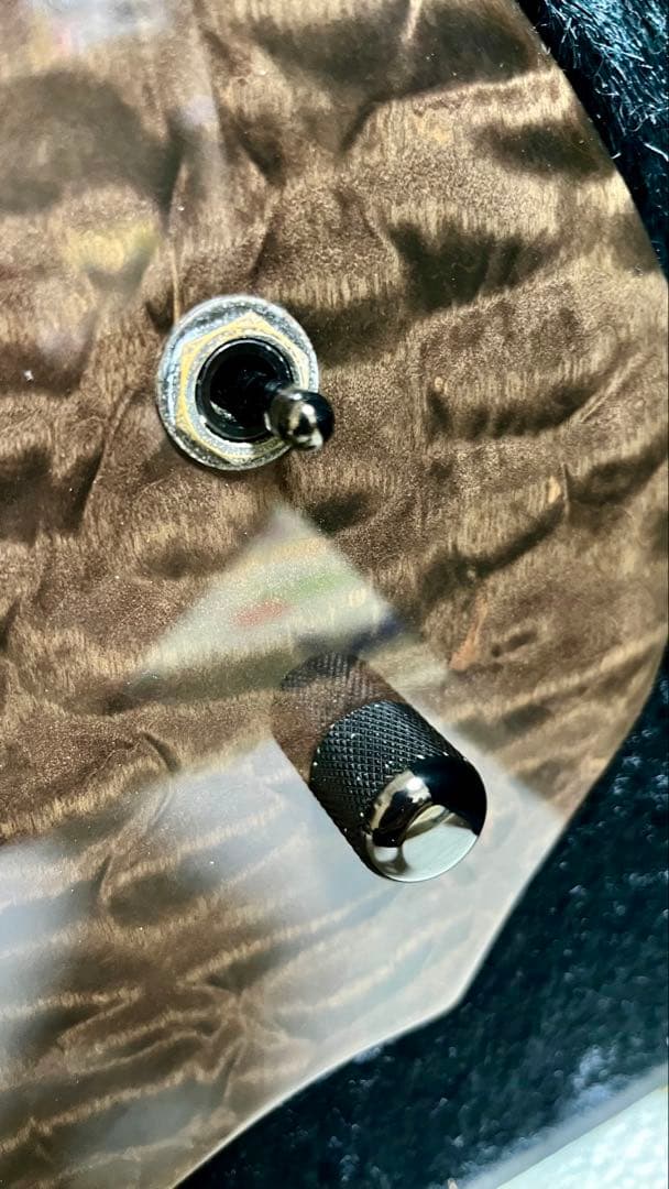 ESPエレキギター PIERROTアイジモデル(001)-560P 定価56万円