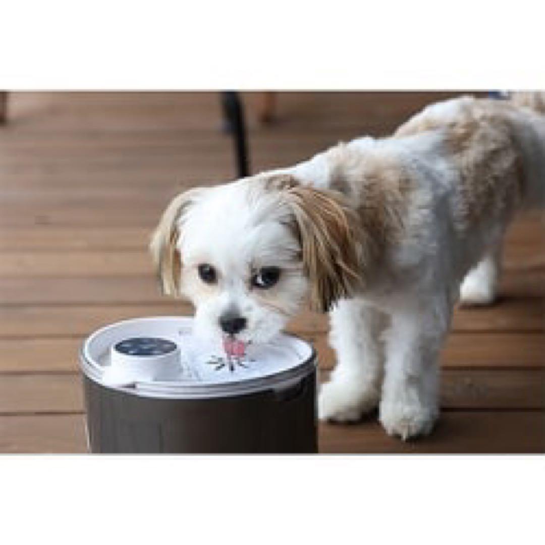 ワンにゃん＆水素水 ペット用水素自動給水器 新鮮 水素水 高濃度 軟水 循環式