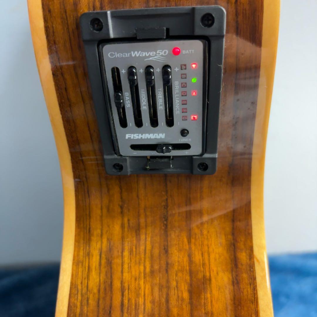 ギター sabersSamick Greg Bennett OM-15CE