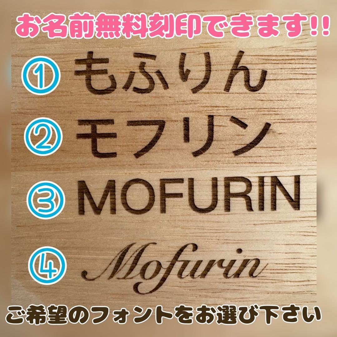 【もふりん工房】オリジナル チンチラさんお迎えスターターセット