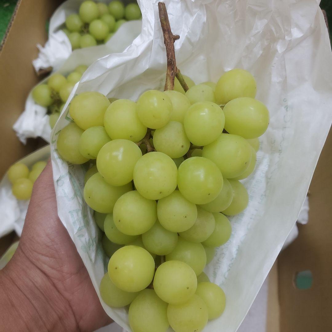 3️⃣ 山梨県産 シャインマスカット ９房入り 箱込み5.3キロ