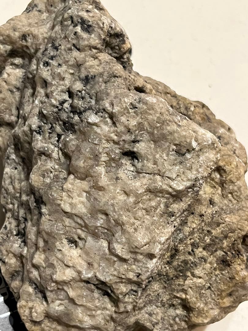 C 南極 南極の石 しらせ  昭和基地 南極観測船　ふじ