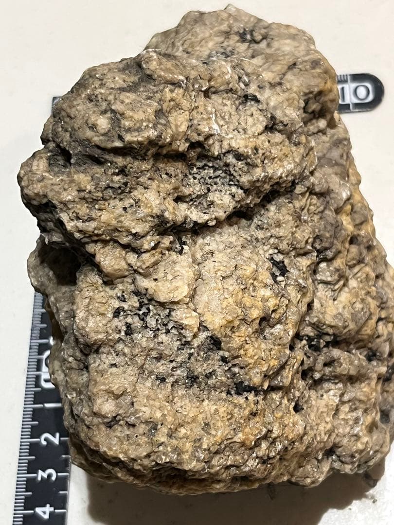 C 南極 南極の石 しらせ  昭和基地 南極観測船　ふじ