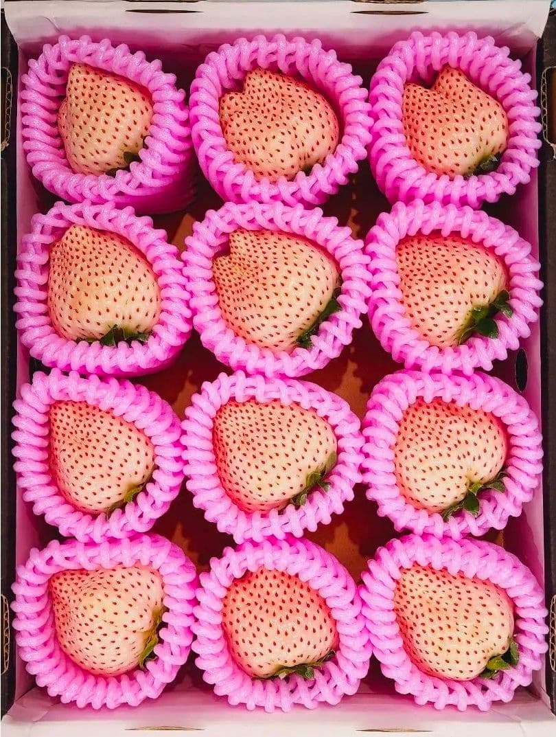 佐賀産【凛々 天使のイチゴ】4~5L特大粒!! 化粧箱入 12粒 15箱専用