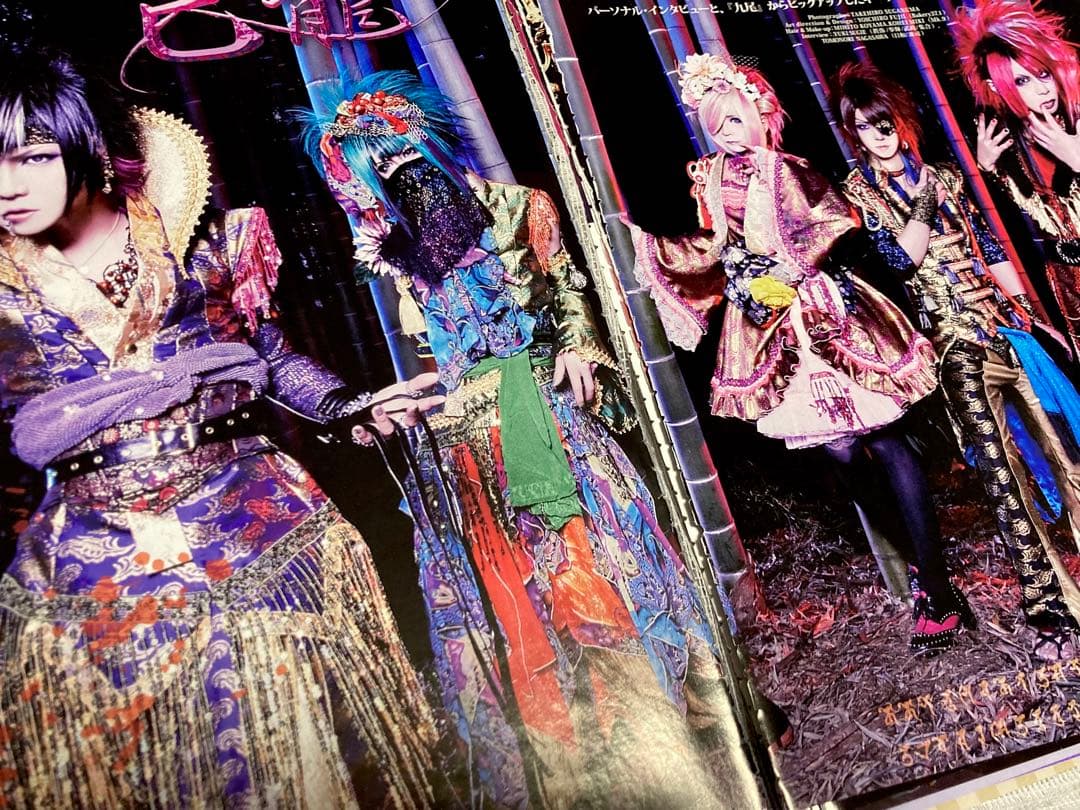 己龍 雑誌 切り抜き約60枚＋DVD1枚,ステッカー1枚