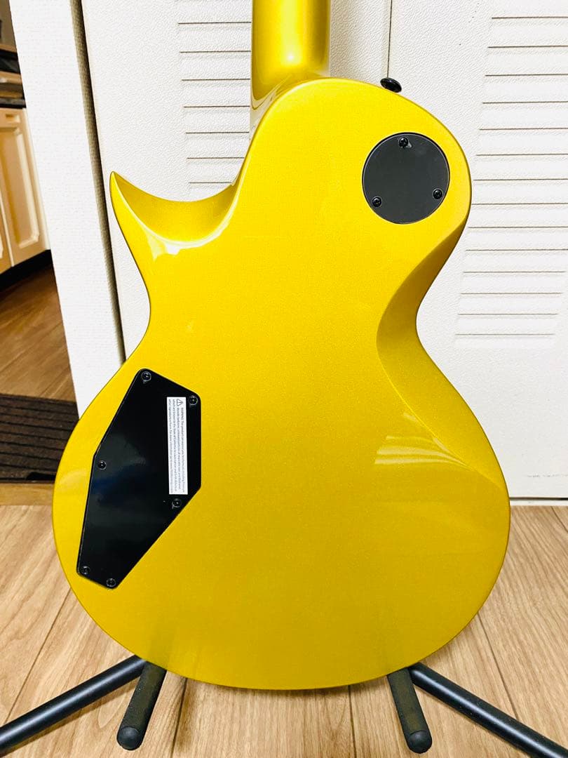 ESP LTD EC-2025 50th Anniversary世界限定500本