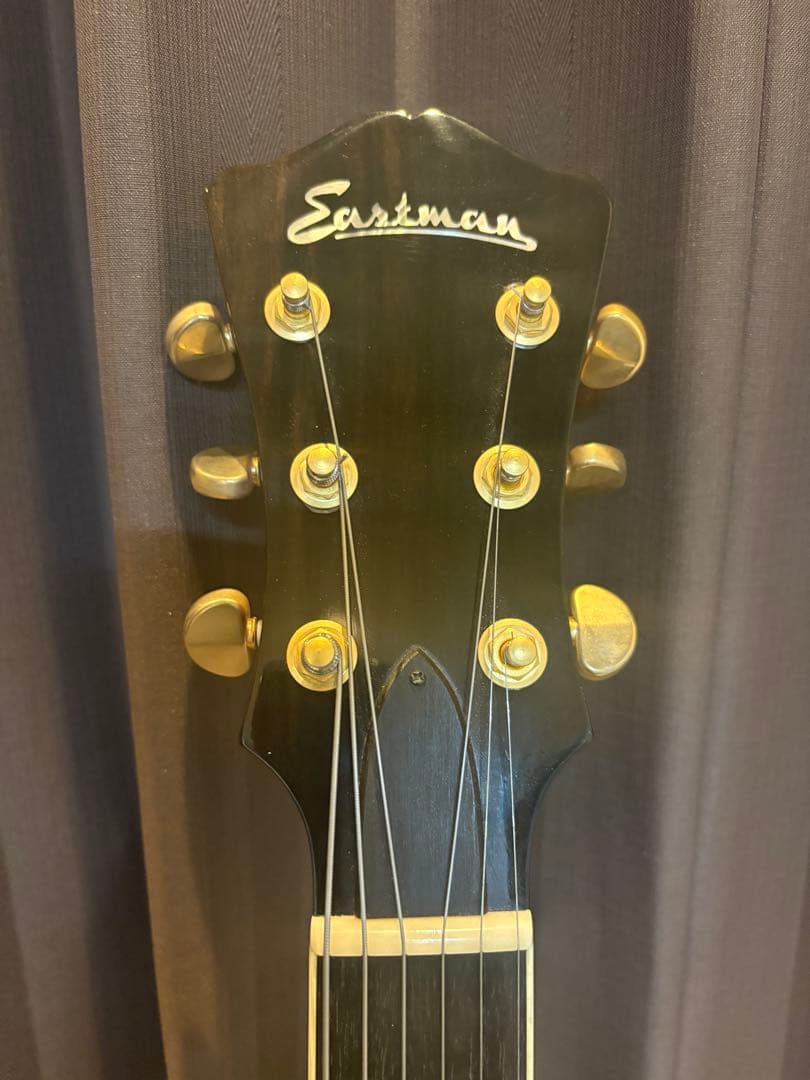 ★特別価格★Eastman AR-403CE P-90