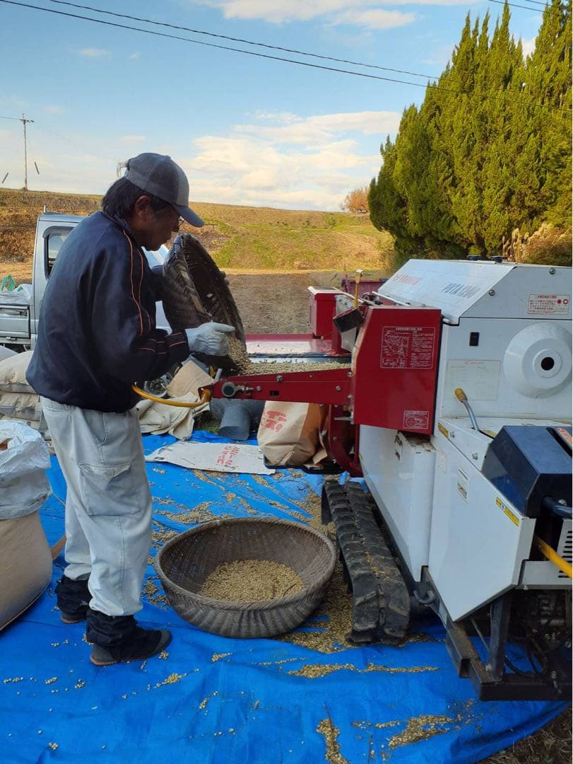 自然栽培　幻の大豆『八天狗』10kg 熊本県産