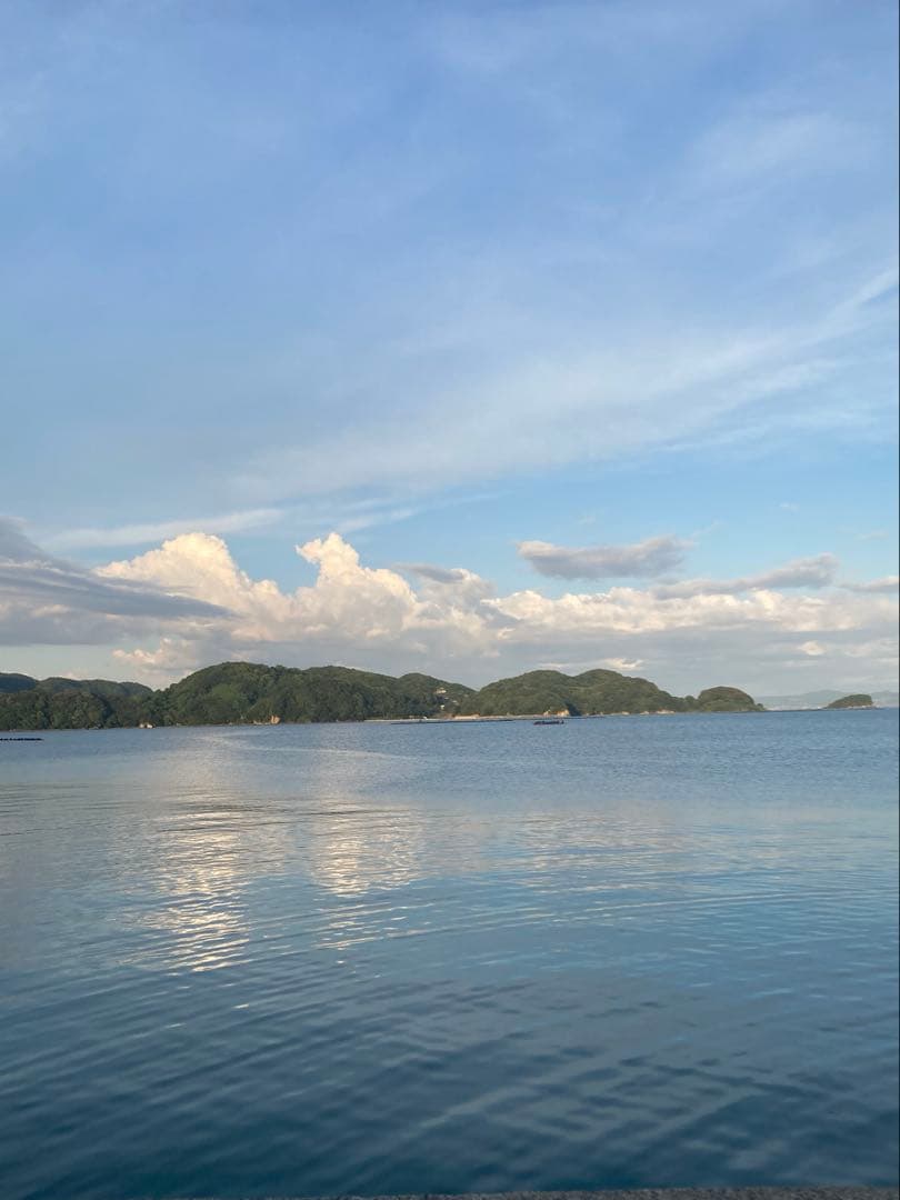 KOUMEANRIさま専用　ニホンミツバチ生ハチミツ　1120g