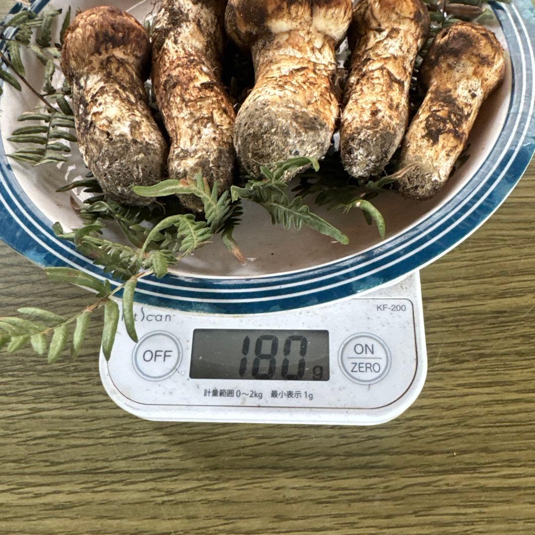 10/14朝採れ南信州産松茸180g