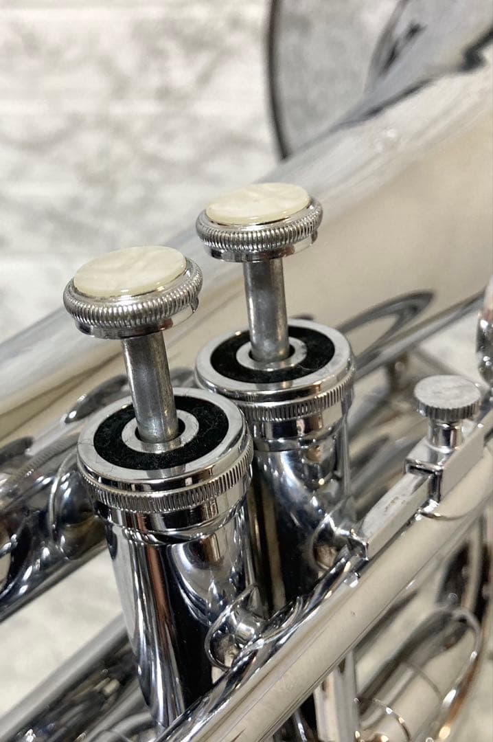 【動確済 美品】DEG Dynasty ビューグル フレンチホルン 2ピス G菅