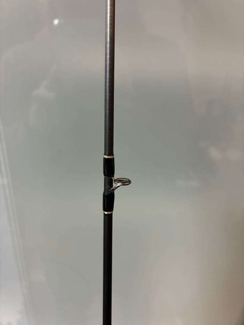 エバーグリーン　テムジン　クロスファイヤー　パンテラ