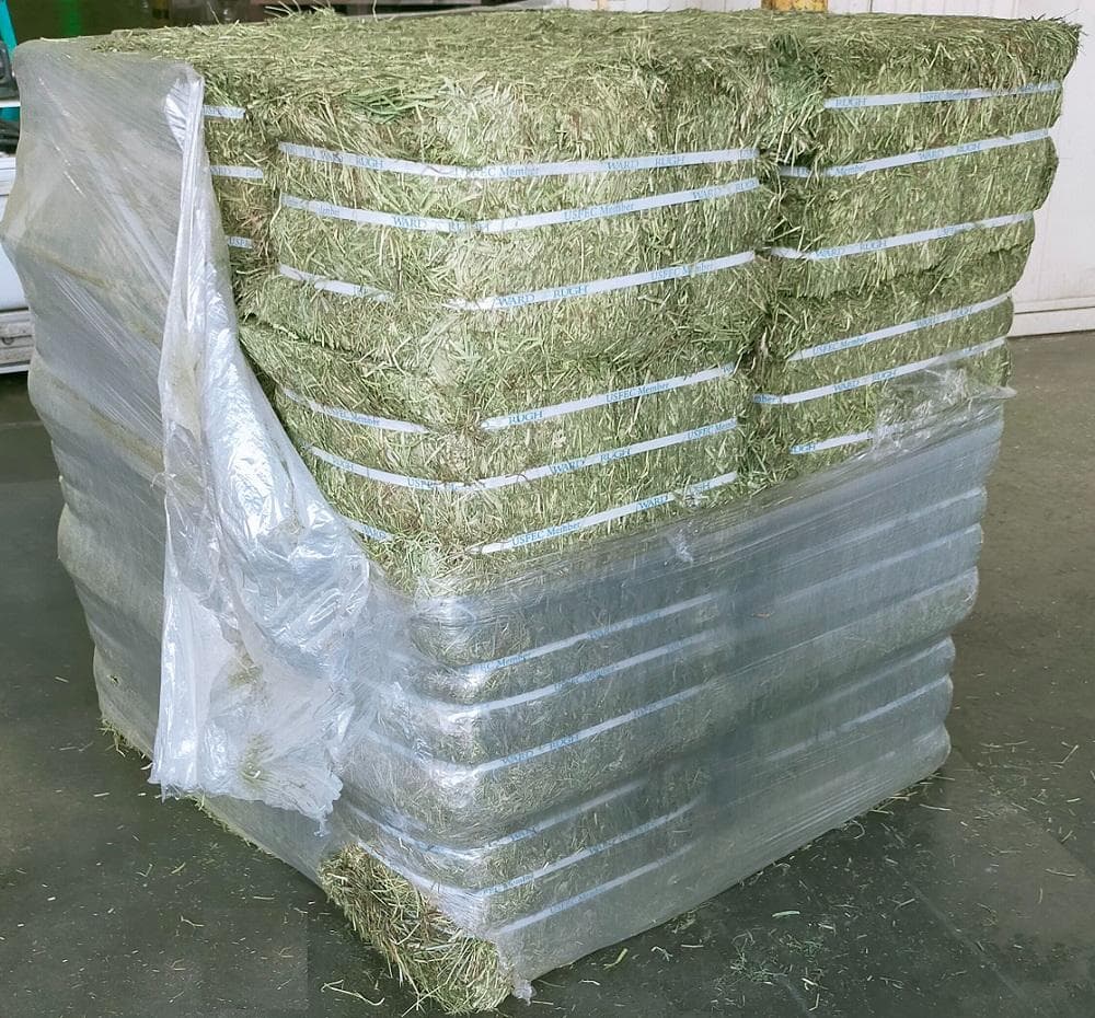 【6/30まで】US産 チモシー 50kg ２番刈り ソフトSプレミアム