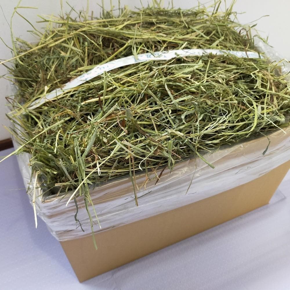 【6/30まで】US産 チモシー 50kg ２番刈り ソフトSプレミアム