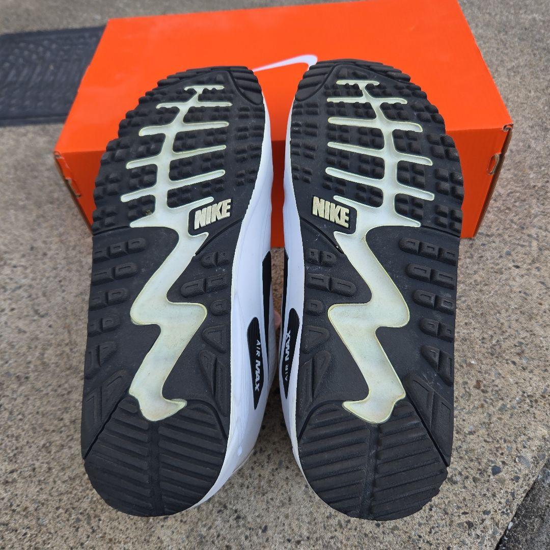 Nike Air Max ホワイト 10.5