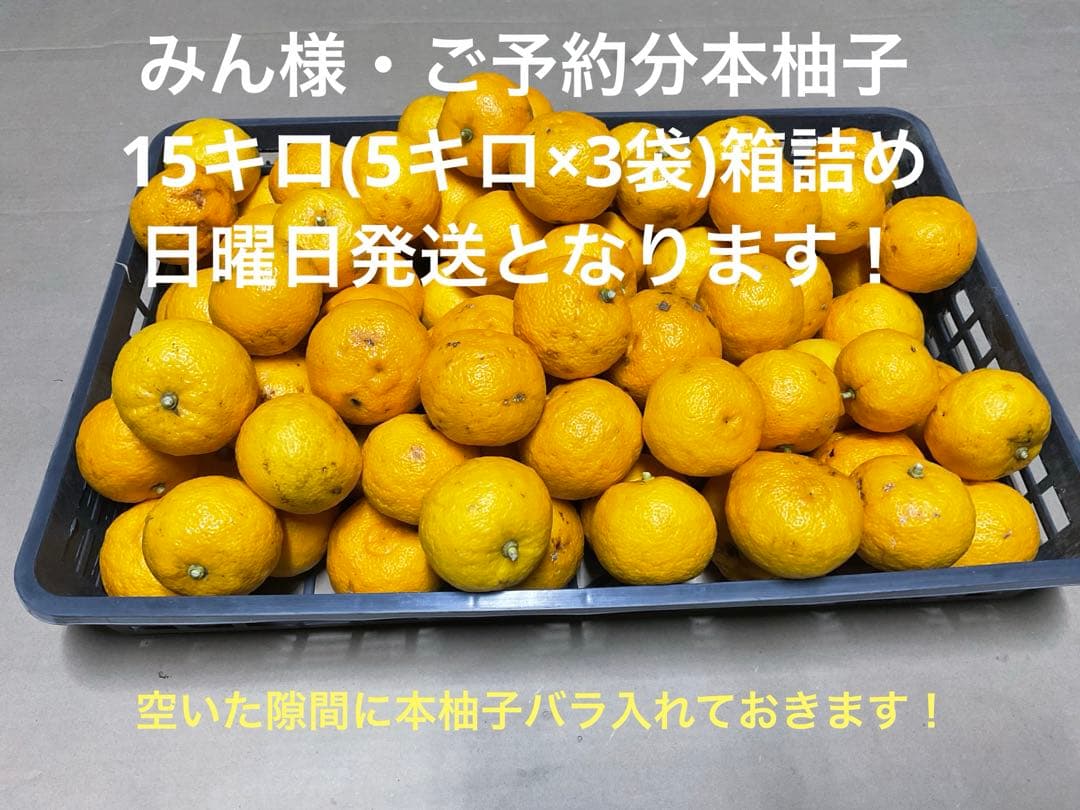 みん様~☆ご予約分　本柚子15キロ(5キロ×3袋)