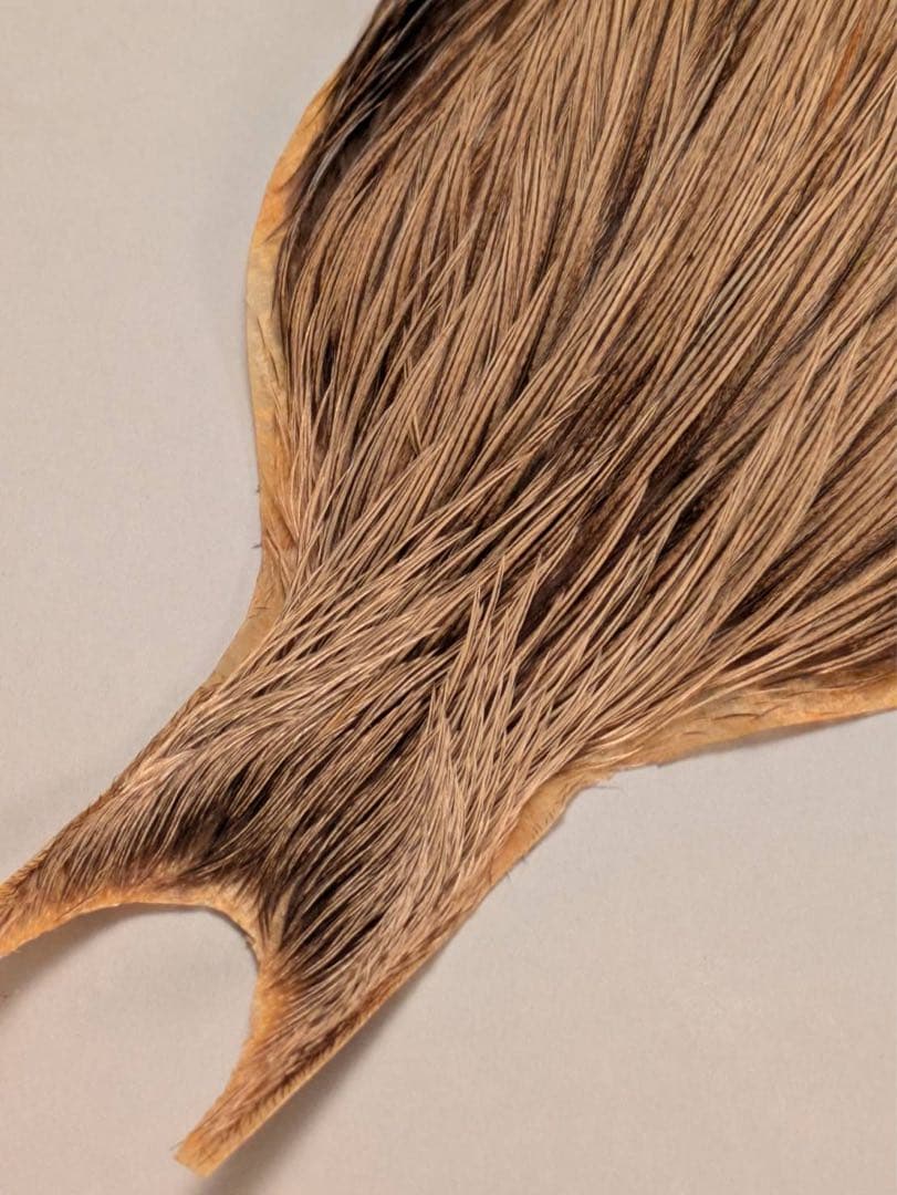 Metz コックネック　 シルバーバジャー　グレード1