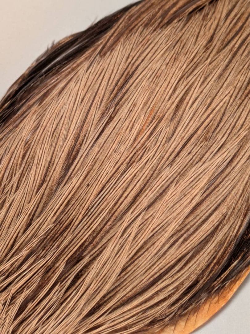 Metz コックネック　 シルバーバジャー　グレード1