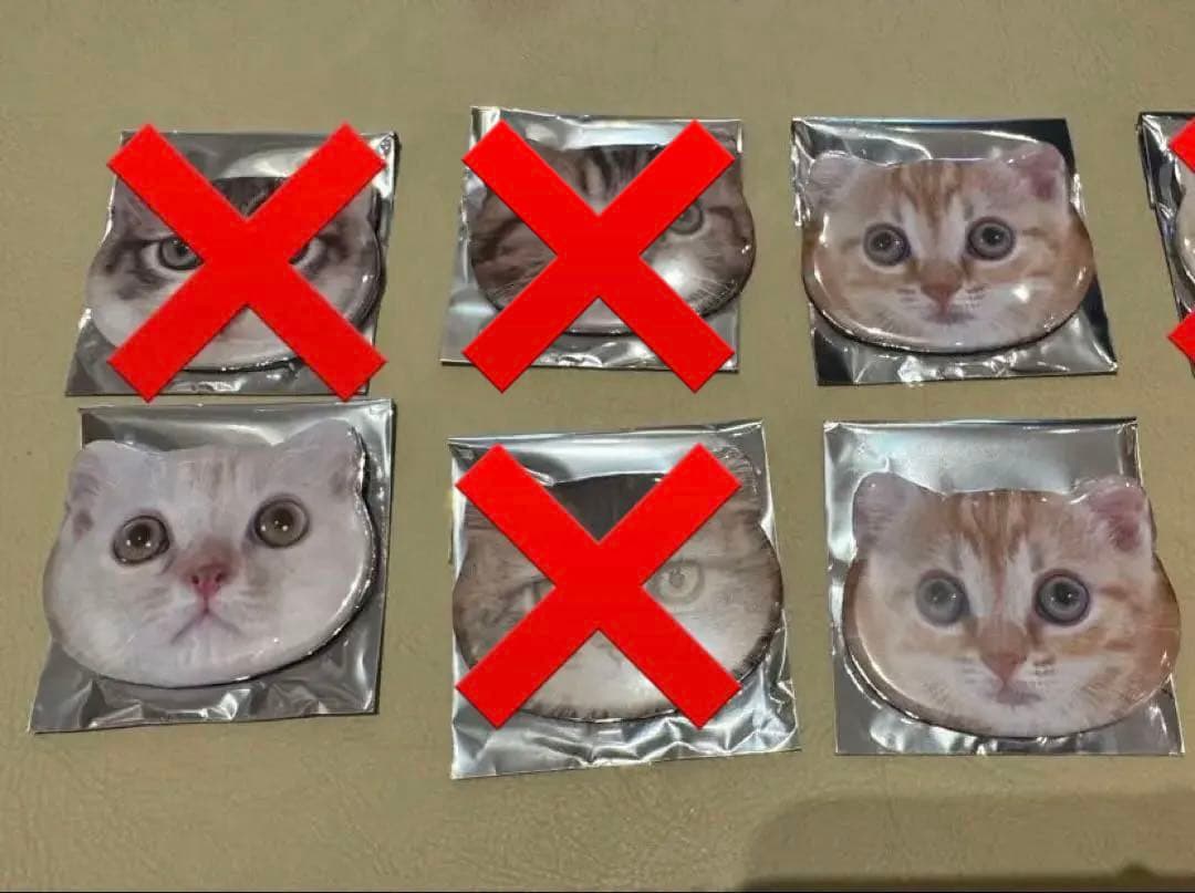 MOCHA にゃんず猫型缶バッジ　ららぽーと名古屋みなとアクルス店