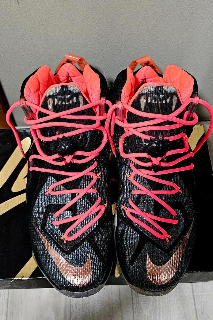 新品未使用Nike LeBron XII ELITE 12 31cm