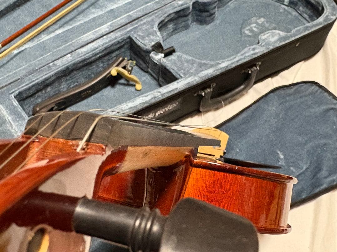 カルロ・ジョルダーノ　エレキバイオリン　CV-210E 美品1922-01-1