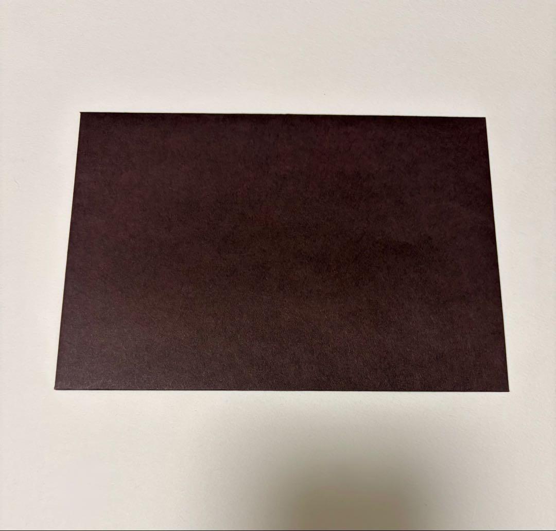 囚われのパルマ 手紙 ハルト