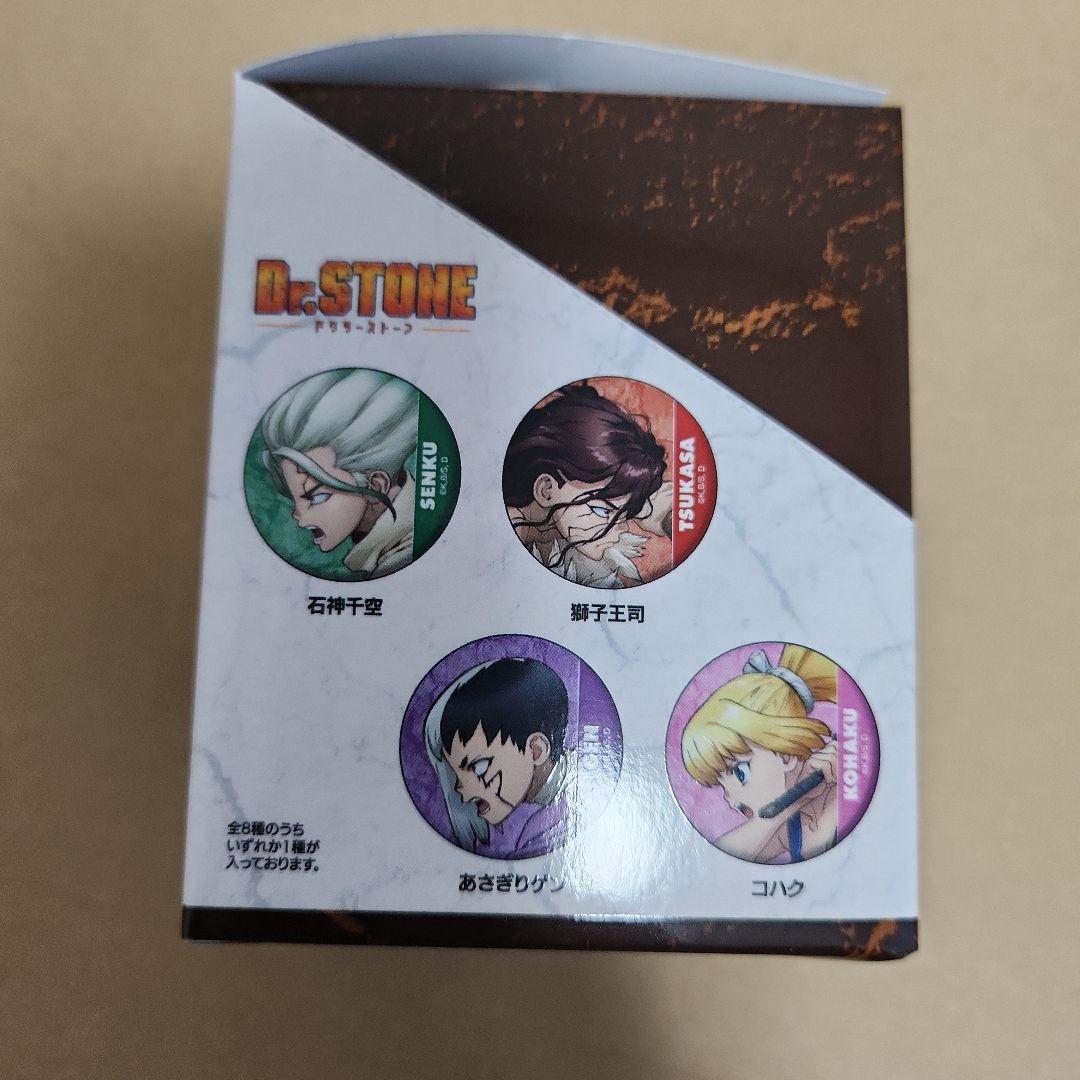 Dr.STONE トレーディング缶バッジ全種 箱付き