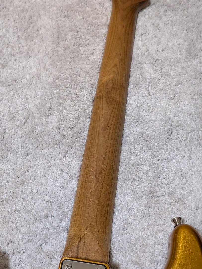 Bacchus BST-2-RSM ゴールド 限定カラー