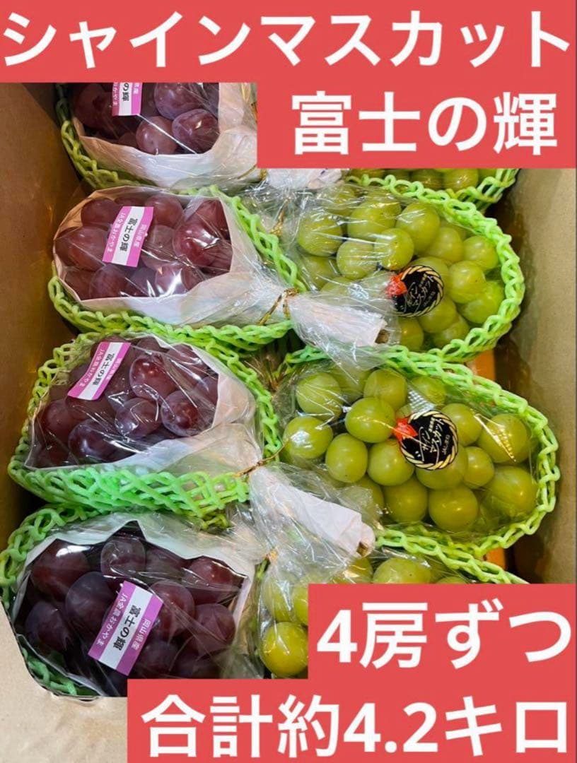 ⑦【島根県産】 シャインマスカット4房 【岡山県産】 富士の輝　4房