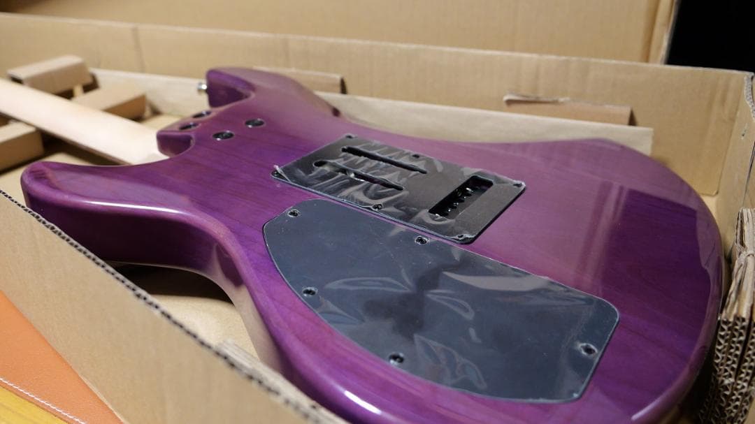 FERNANDES / NTG-LTD ’24 STP ガルクラ ヒナモデル