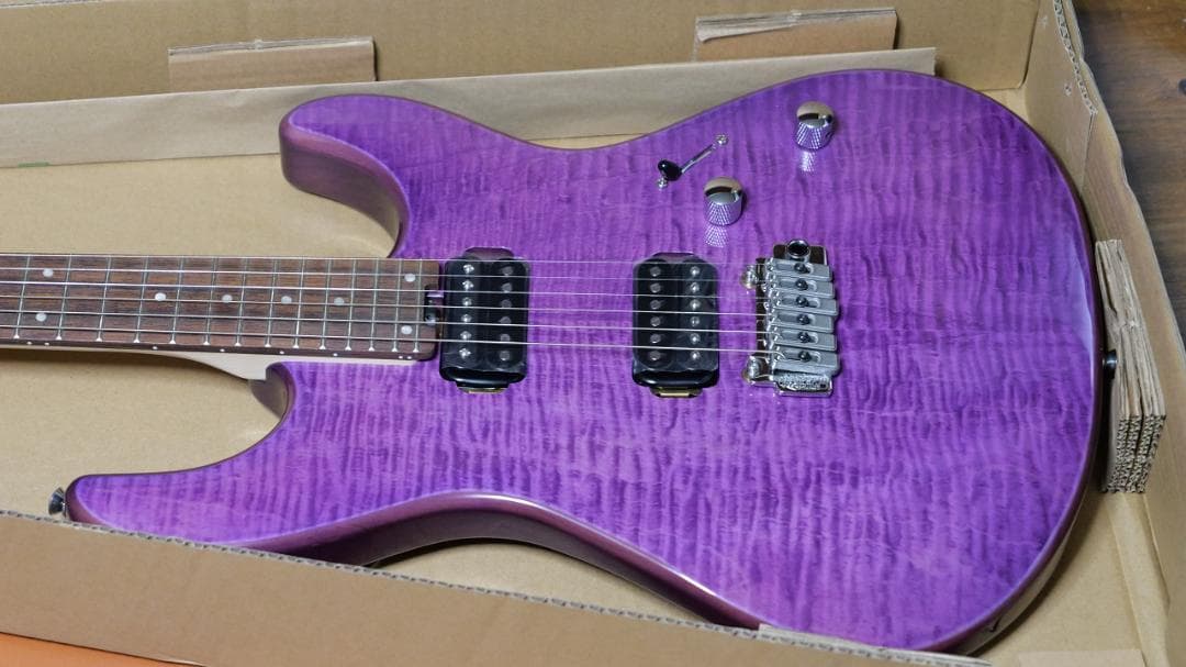 FERNANDES / NTG-LTD ’24 STP ガルクラ ヒナモデル