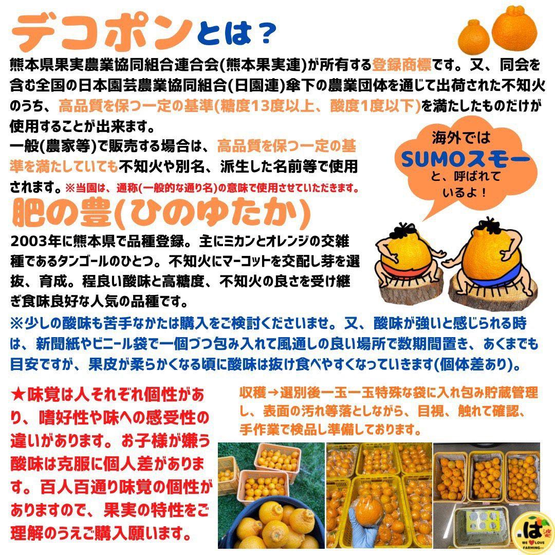 ※確認用　家庭用　大玉MIX箱込み9.5kg以上【露地栽培　不知火　デコポン】