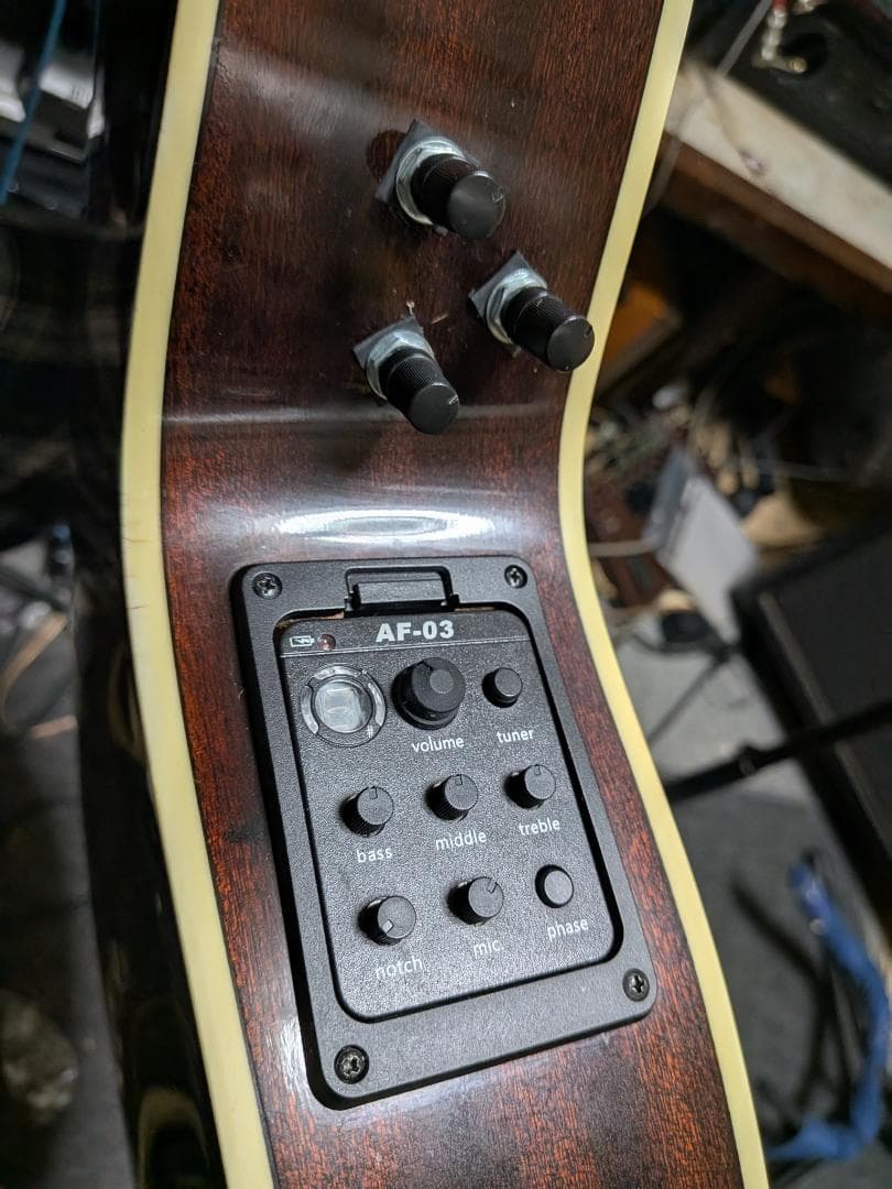 オンリーワン！Sandpiper ローレンス 2系統出力アンプ・生音動画！