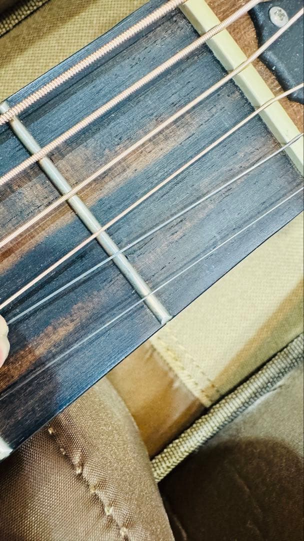 最終価格 Taylor GS Mini 限定 walnut